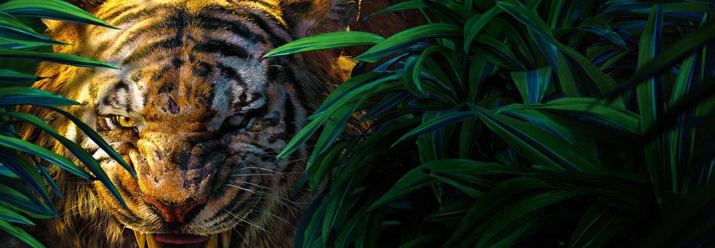 Jungle Safari in Kanha