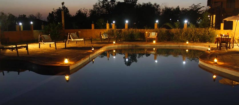 Explore Kanha from the Comforts of Kanha Village Eco Resort